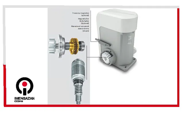 خدمات جک ریلی نیوتا